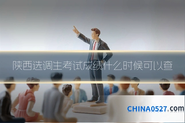 陕西选调生考试成绩什么时候可以查
