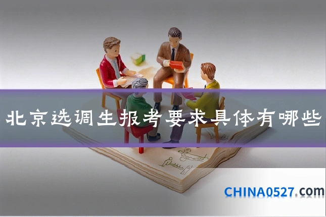 北京选调生报考要求具体有哪些