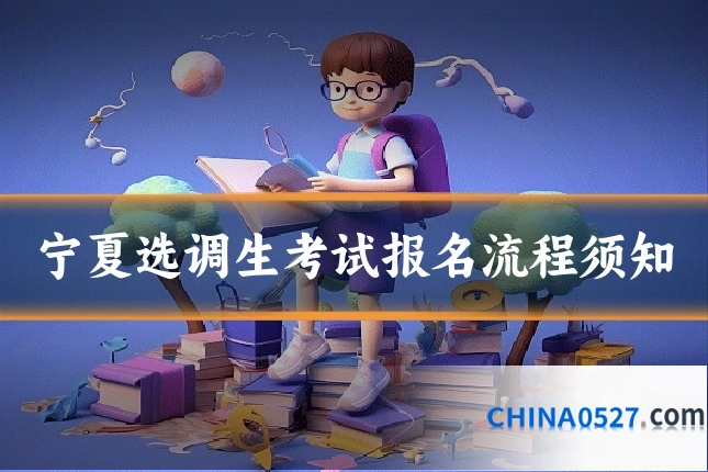 宁夏选调生考试报名流程须知