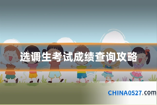 选调生考试成绩查询攻略