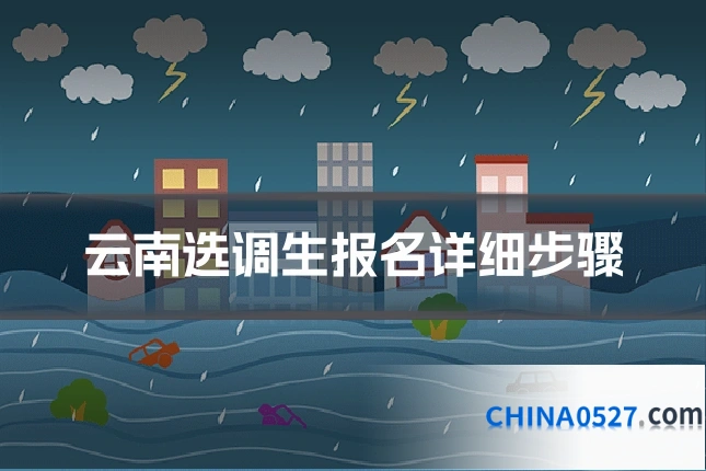 云南选调生报名详细步骤