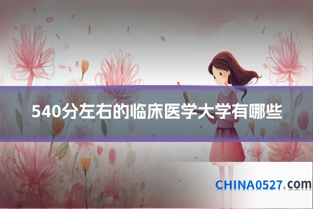 540分左右的临床医学大学有哪些