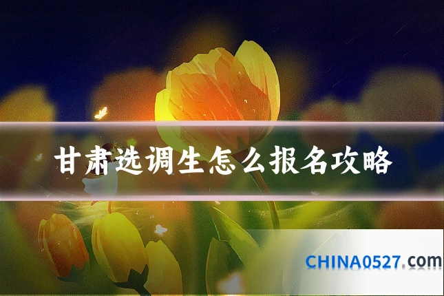 甘肃选调生怎么报名攻略