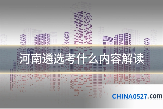 河南遴选考什么内容解读