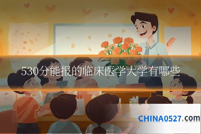 530分能报的临床医学大学有哪些