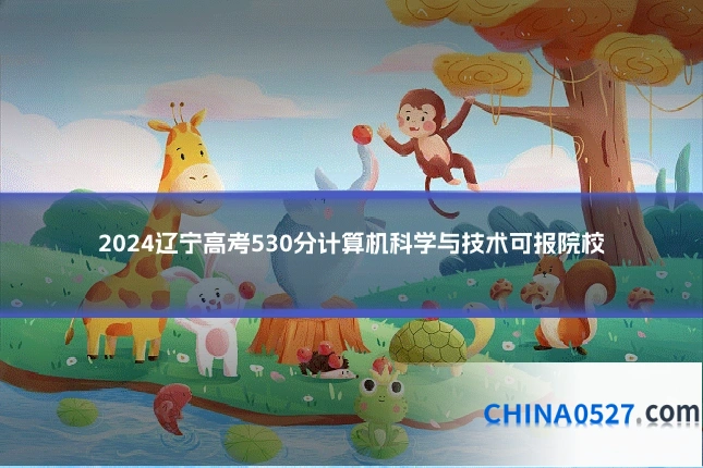 2024辽宁高考530分计算机科学与技术可报院校