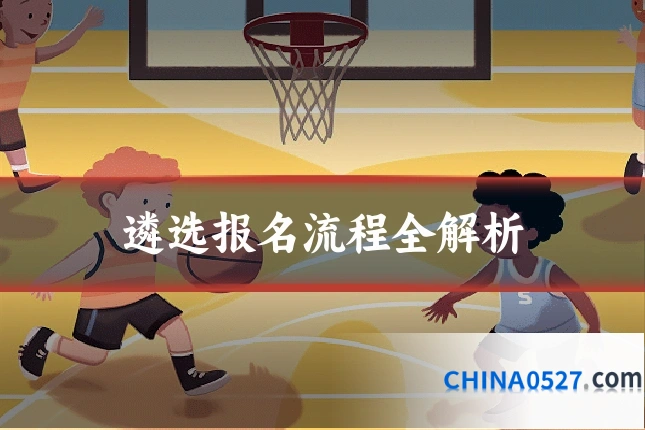 遴选报名流程全解析