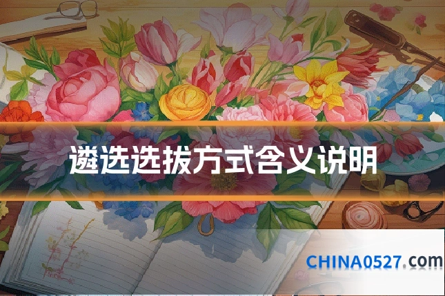 遴选选拔方式含义说明