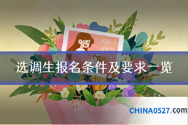 选调生报名条件及要求一览