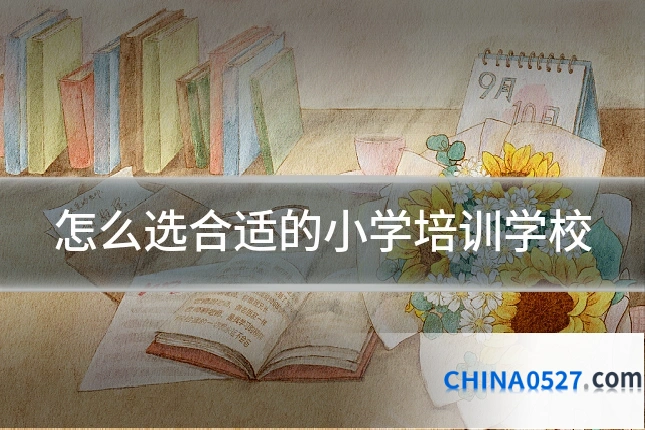 怎么选合适的小学培训学校