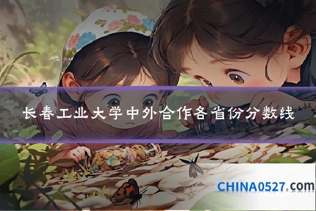长春工业大学中外合作各省份分数线