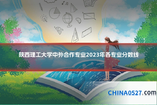 陕西理工大学中外合作专业2023年各专业分数线