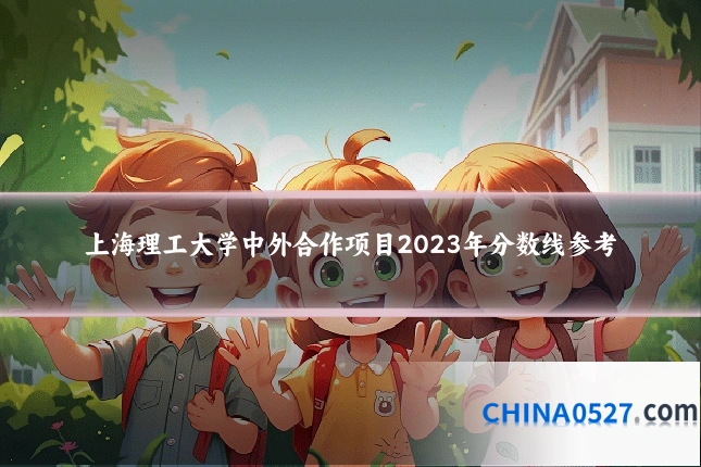 上海理工大学中外合作项目2023年分数线参考