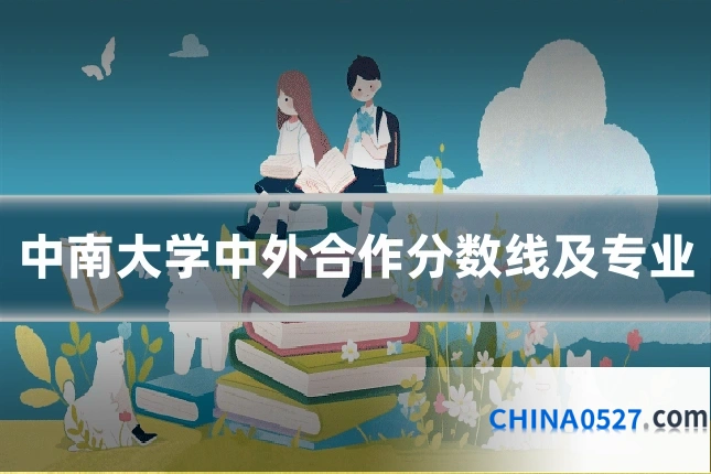 中南大学中外合作分数线及专业