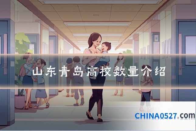 山东青岛高校数量介绍