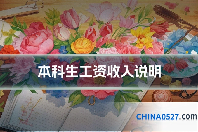 本科生工资收入说明