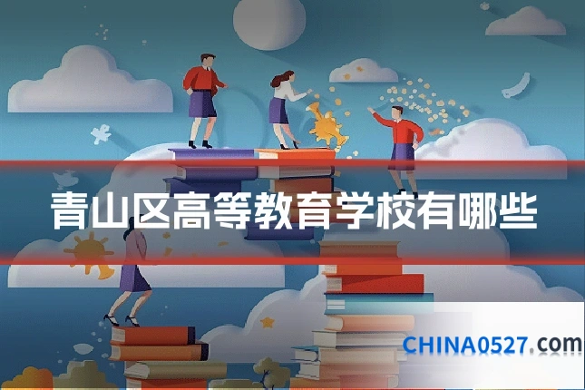 青山区高等教育学校有哪些