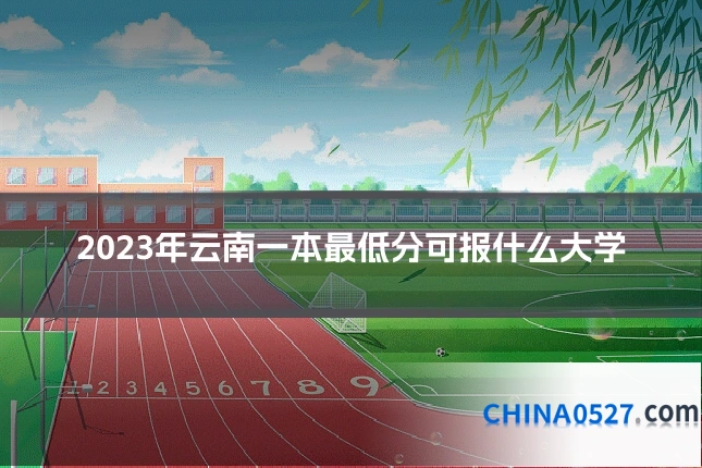 2023年云南一本最低分可报什么大学