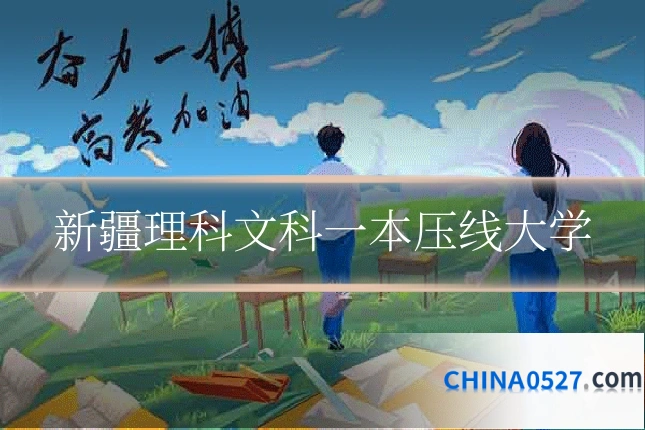 新疆理科文科一本压线大学