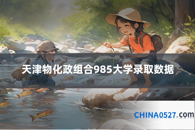 天津物化政组合985大学录取数据