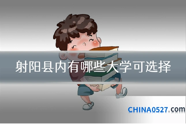 射阳县内有哪些大学可选择