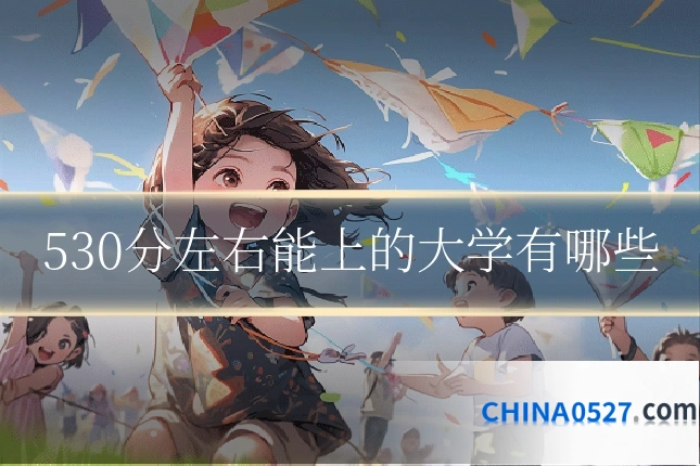 530分左右能上的大学有哪些