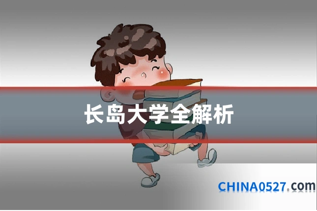 长岛大学全解析