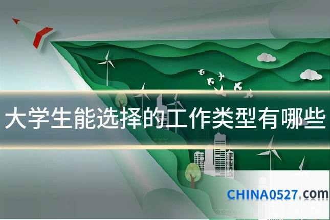 大学生能选择的工作类型有哪些