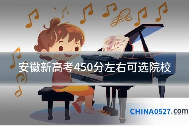 安徽新高考450分左右可选院校