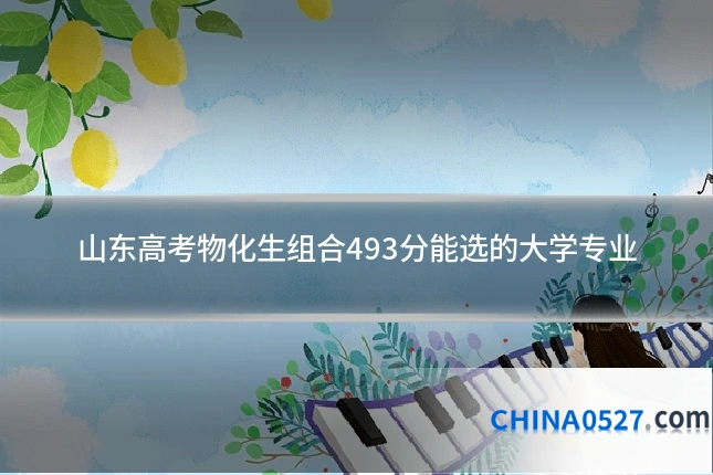 山东高考物化生组合493分能选的大学专业
