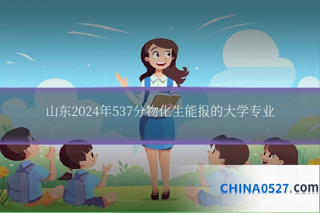 山东2024年537分物化生能报的大学专业