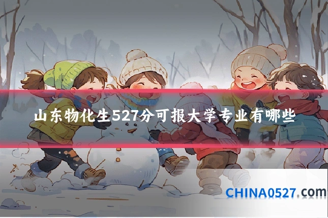 山东物化生527分可报大学专业有哪些