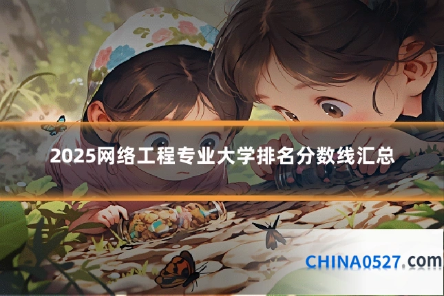 2025网络工程专业大学排名分数线汇总