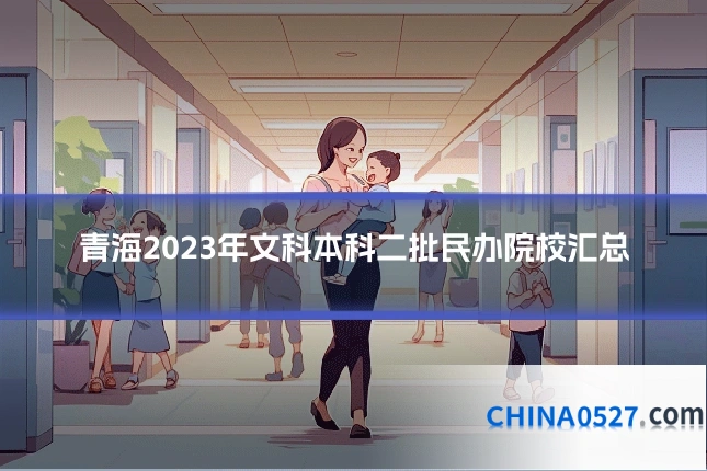 青海2023年文科本科二批民办院校汇总