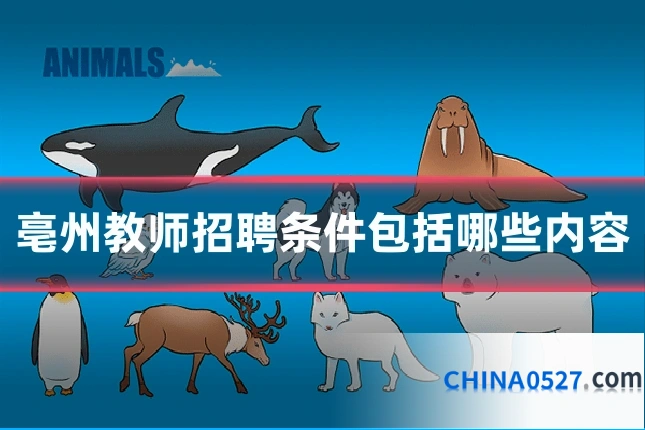 亳州教师招聘条件包括哪些内容