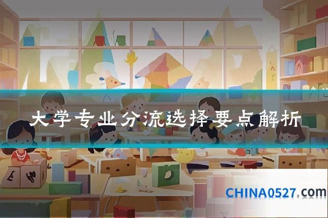 大学专业分流选择要点解析