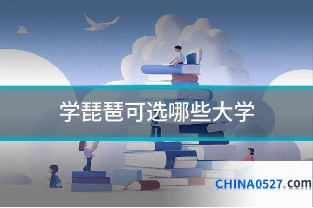 学琵琶可选哪些大学