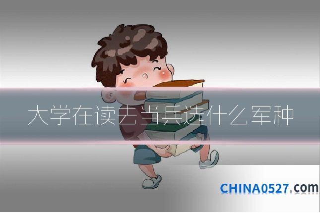 大学在读去当兵选什么军种