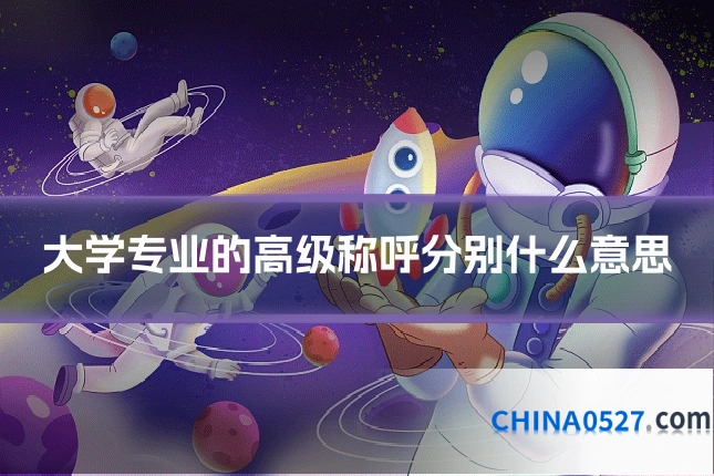 大学专业的高级称呼分别什么意思