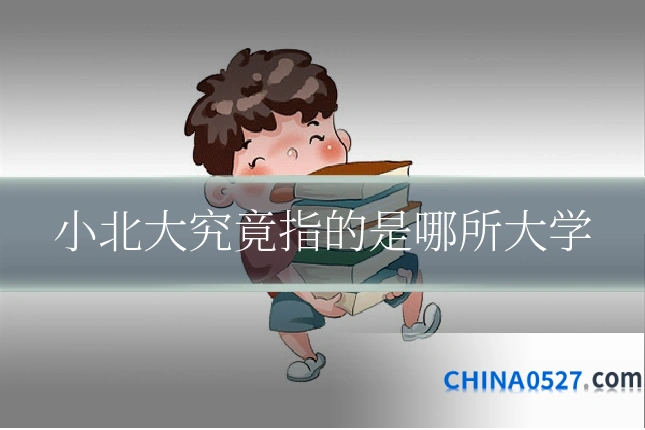 小北大究竟指的是哪所大学
