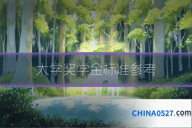 大学奖学金标准参考