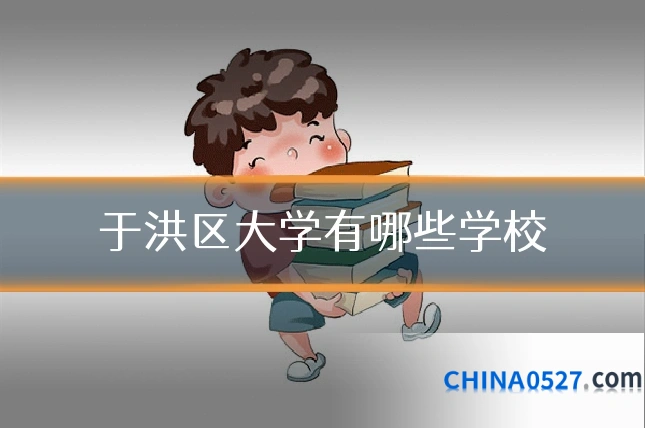 于洪区大学有哪些学校