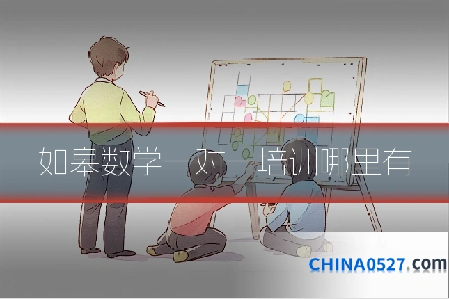 如皋数学一对一培训哪里有