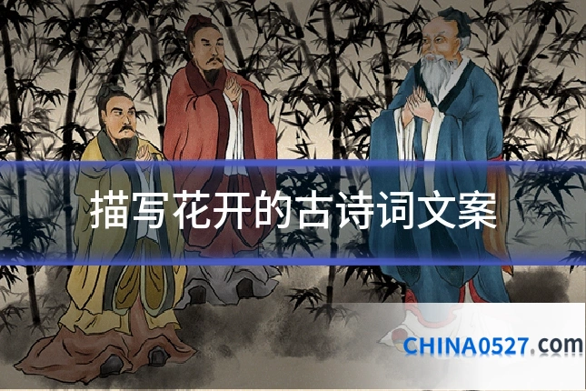 描写花开的古诗词文案