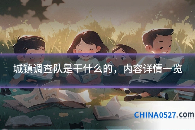 城镇调查队是干什么的,内容详情一览