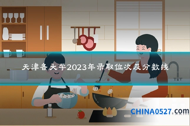 天津各大学2023年录取位次及分数线