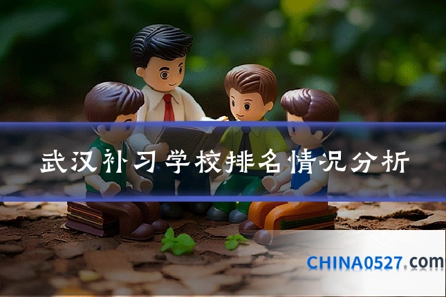 武汉补习学校排名情况分析