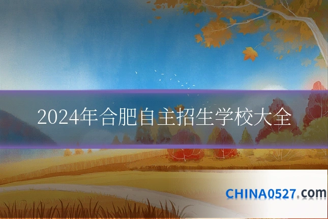 2024年合肥自主招生学校大全