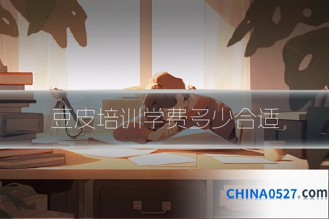 豆皮培训学费多少合适