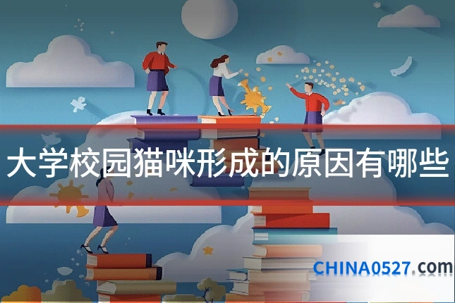 大学校园猫咪形成的原因有哪些